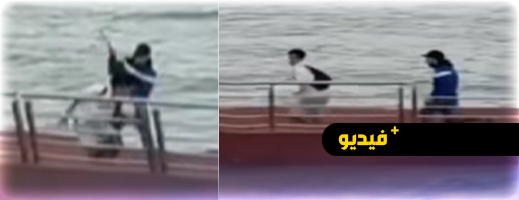 أسفي.. مقطع يوثق سرقة تحت تهديد السلاح ومطالب باعتقال الجاني أسفي.. مقطع يوثق سرقة تحت تهديد السلاح ومطالب باعتقال الجاني