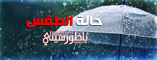 زخات رعدية ورياح قوية.. تقلبات جوية غدا الاثنين