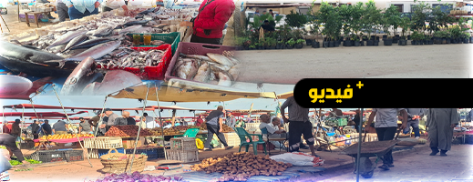 سوق أركمان الأسبوعي.. بين ارتفاع أسعار الخضراوات وركود حركة المواشي