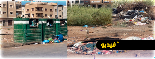 الأزبال والكلاب الضالة و"البوعارة" تحاصر حي المطار والسكان يطالبون بالإنقاذ