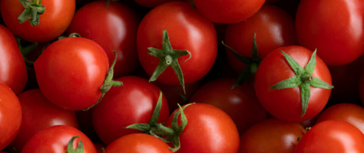 تحقيق فرنسي: طماطم مغربية تحتوي على مبيدات خطيرة