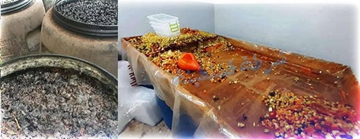 معامل سرية لتصبير زيتون و"هريسة" مغشوشين بالجهة الشرقية.. ومرصد يحذر معامل سرية لتصبير زيتون و"هريسة" مغشوشين بالجهة الشرقية.. ومرصد يحذر