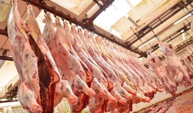 ماذا يزداد اعتماد المغرب على لحوم الأبقار الأوروبية؟ ماذا يزداد اعتماد المغرب على لحوم الأبقار الأوروبية؟