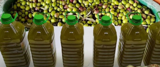 درك بني ملال يضبط 9 أطنان من زيت الزيتون ممزوج بزيت المائدة كانت موجهة للأسواق