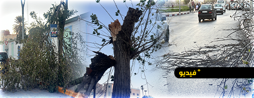 عاصفة مفاجئة تهز الناظور وتسقط أشجارا قرب النافورة ومقهى فيكتوريا