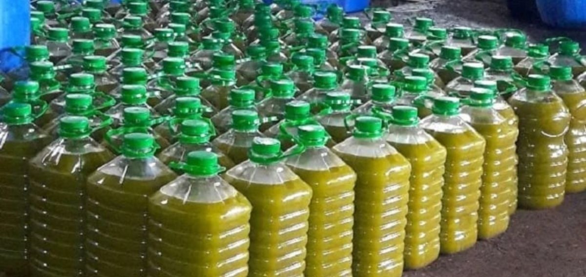 ما حقيقة إعادة زيت زيتون مغربي ملوث من أوروبا؟.. أونسا توضح