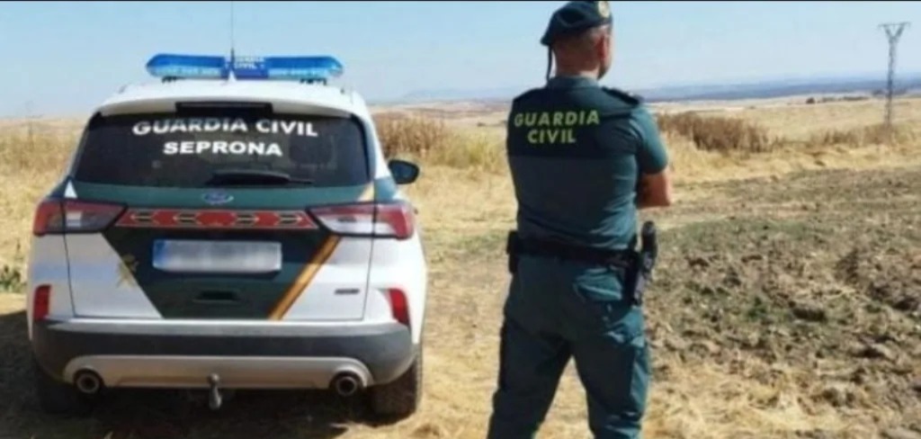 عامل موسمي يطلق النار على زميله المغربي وينهي حياته بإسبانيا