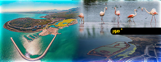 اجتماع استراتيجي لتعزيز حماية البيئة واستعادة النظم الإيكولوجية لبحيرة مارشيكا