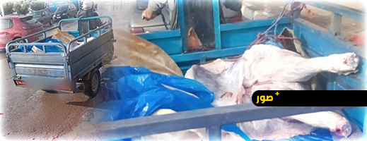 نقل اللحوم بـ"تريبورتور" في بن الطيب ينذر بكارثة صحية.. ومطالب بتدخل عاجل