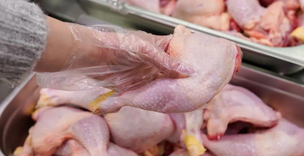 أوروبا تفتح أبواب أسواقها لدواجن المغرب وإسبانيا تصف القرار بـ"الطعنة"