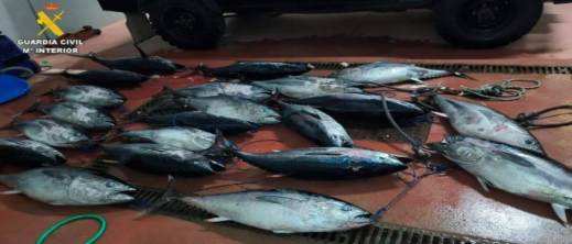 عملية تفتيش في مضيق جبل طارق تكشف 21 سمكة دون وثائق قانونية