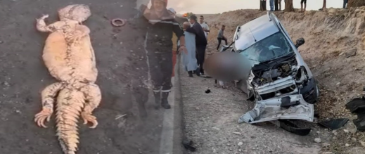 الحسيمة.. عمل شعوذة داخل سيارة يرجح أن يكون سبب حادثة سير سابقة