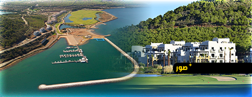 مارشيكا ميد: ديناميكية التحول المؤكدة والمدعومة بمؤشرات إيجابية