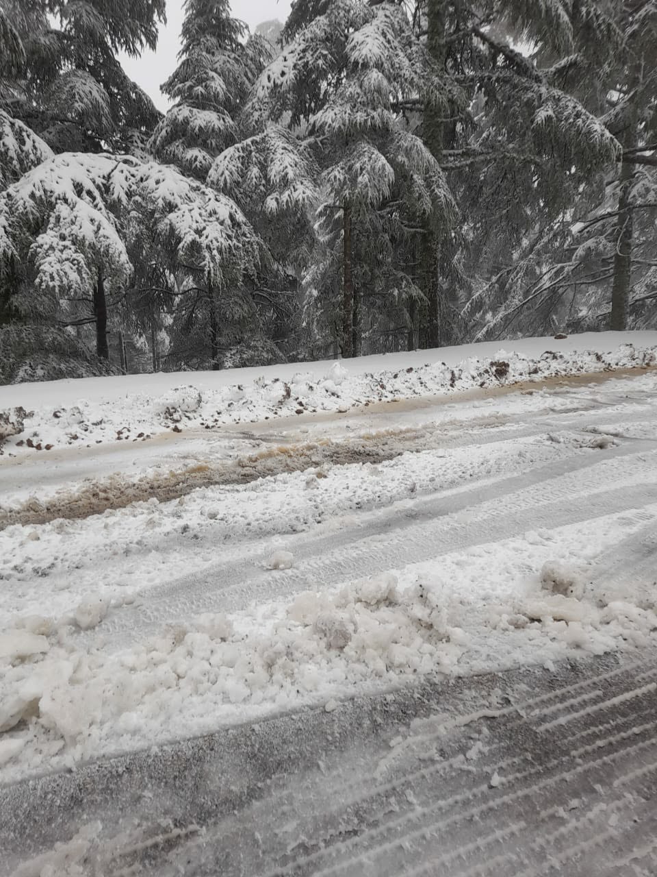 تساقطات ثلجية مهمة بجبل تيزي فري وبني عمارت بإقليم الحسيمة