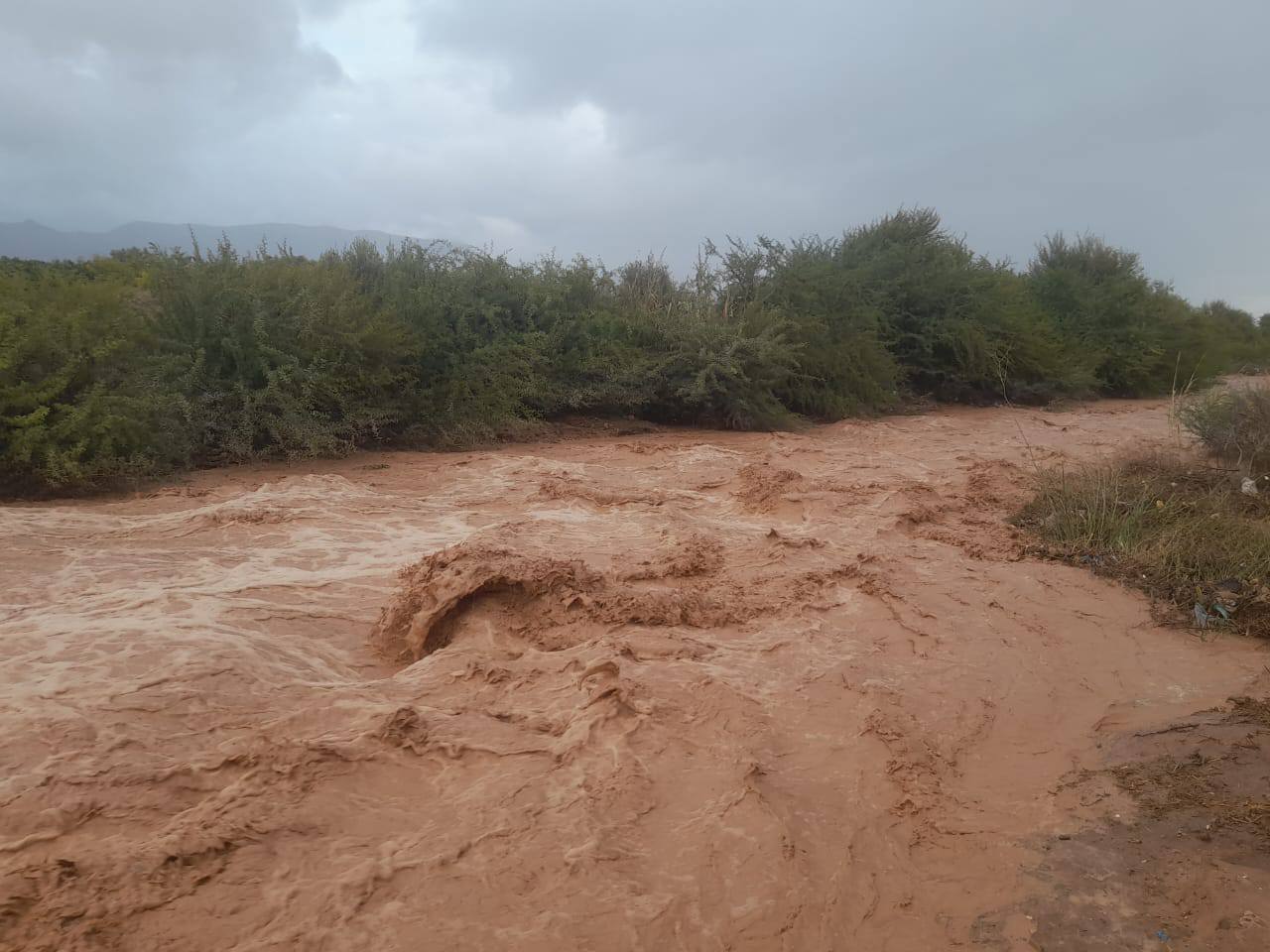 الناظور: ارتفاع مهول في منسوب مياه واد بأولاد ستوت.. والساكنة تناشد السلطات 