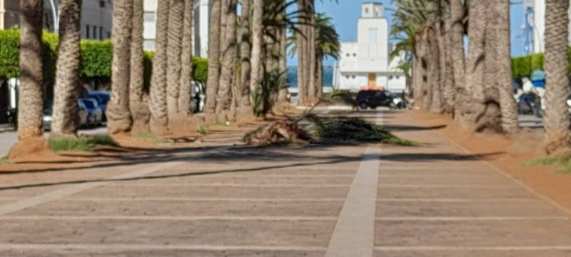 أخيرا.. المجلس الإداري لمارتشيكا يصادق على تهيئة شارع محمد الخامس وسط الناظور و30 مليار لتهيئة الجماعات