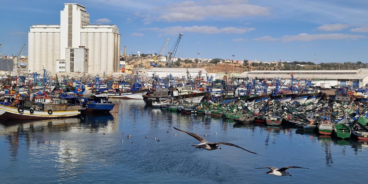 استفار بعد العثور على جمجمة بشرية بالميناء