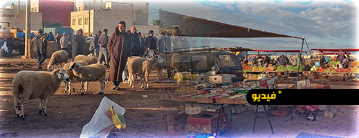 الغلاء يفسد "فرحة الشتاء" بكبدانة.. جولة ميدانية تكشف تفاصيل الأسعار في أعرق أسواق إقليم الناظور