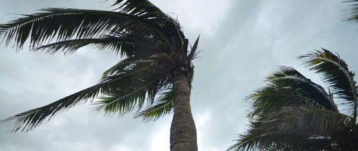 نشرة إنذارية: هبات رياح قوية مرتقبة الجمعة بعدد من مناطق المملكة