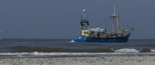 بعد القرار الأممي.. أسطول الصيد الروسي يتهيأ للعمل في مياه الصحراء المغربية