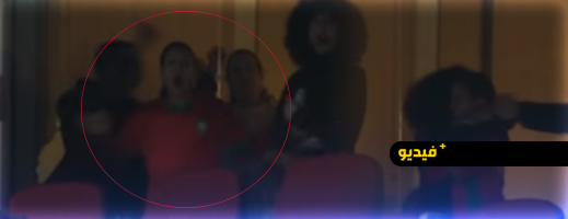 عفوية الأمير مولاي الحسن والأميرة للا خديجة تشعل المنصات.. هكذا تفاعلا مع هدف دياز في مرمى تنزانيا