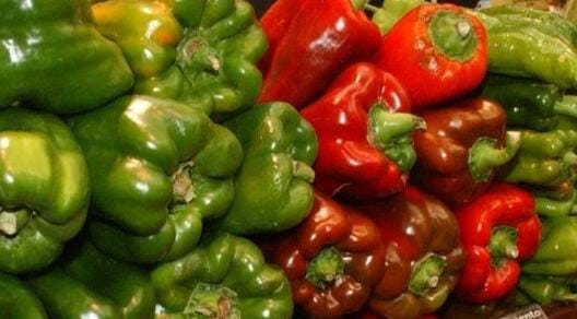 صادرات الفلفل المغربي تكتسح السوق الألمانية وتحقق عائدات مالية ضخمة