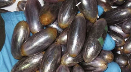 ضبط 256 كبسولة حشيش مغربي داخل معدة مهاجر نيجيري ببني أنصار