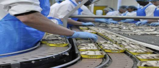 إسبانيا تدق ناقوس الخطر بعد وقف تصدير السردين المغربي