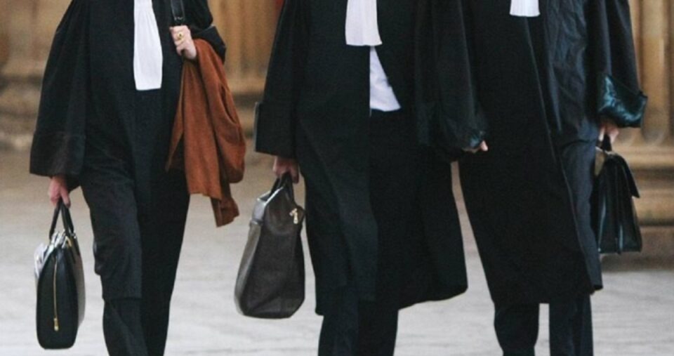 وقفة وطنية وتوقيف الخدمات لأسبوع كامل.. المحامون يعلنون التصعيد  ضد وهبي