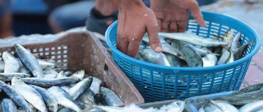 خطة المغرب لخفض أسعار السردين قبل رمضان تثير قلق المصدرين والصيادين الإسبان