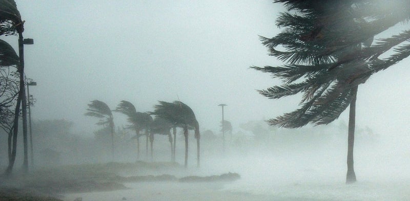 نشرة إنذارية تحذر من رياح عاتية تضرب الناظور والدريوش ابتداء من غد الثلاثاء 