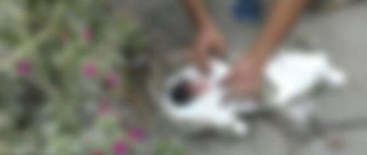 العثور على جثة رضيع حديثة الولادة بالناظور