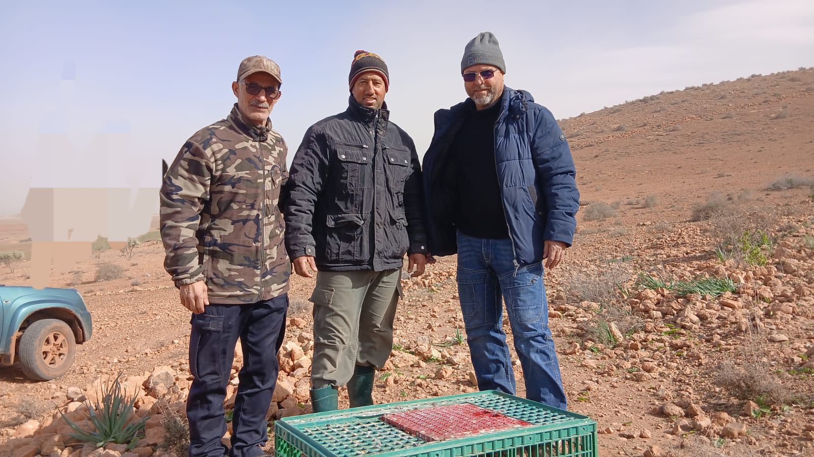 بما في ذلك إقليم الناظور.. إعادة إعمار المحميات بالجهة الشرقية عبر إطلاق الآلاف من طيور الحجل