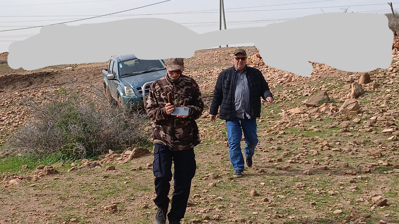 بما في ذلك إقليم الناظور.. إعادة إعمار المحميات بالجهة الشرقية عبر إطلاق الآلاف من طيور الحجل