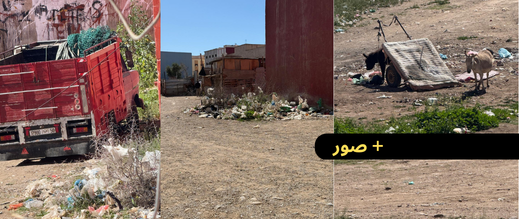 فوضى ودواب ونفايات بحي أولاد بوطيب ومواطنون يناشدون السلطات ويطالبونها بالتدخل 