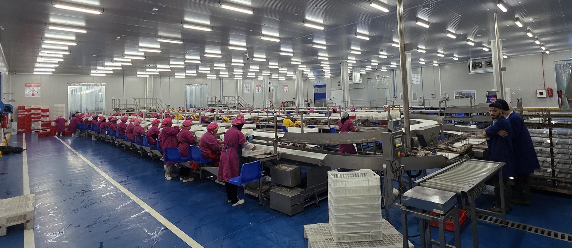 باستثمار 6 ملايين يورو..شركة إسبانية تطلق أكبر مصنع لتعليب التونة في المغرب