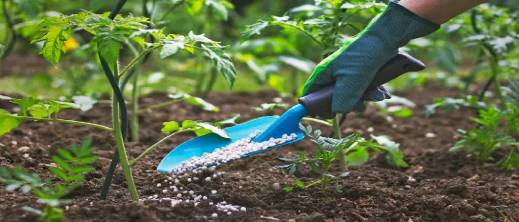 تقرير عالمي: المغرب على أعتاب تعزيز موقعه في أسواق الأسمدة وسط توترات الخليج