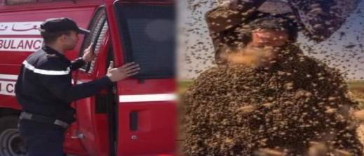أسراب نحل تودي بحياة فلاح داخل ضيعته