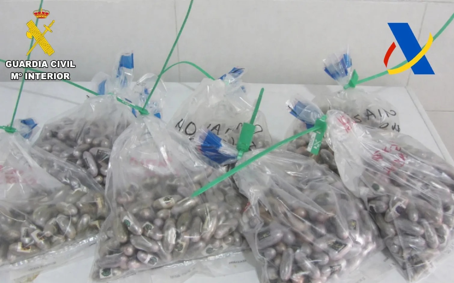 مليلية.. تفكيك شبكة تهريب المخدرات باستخدام أجساد البشر