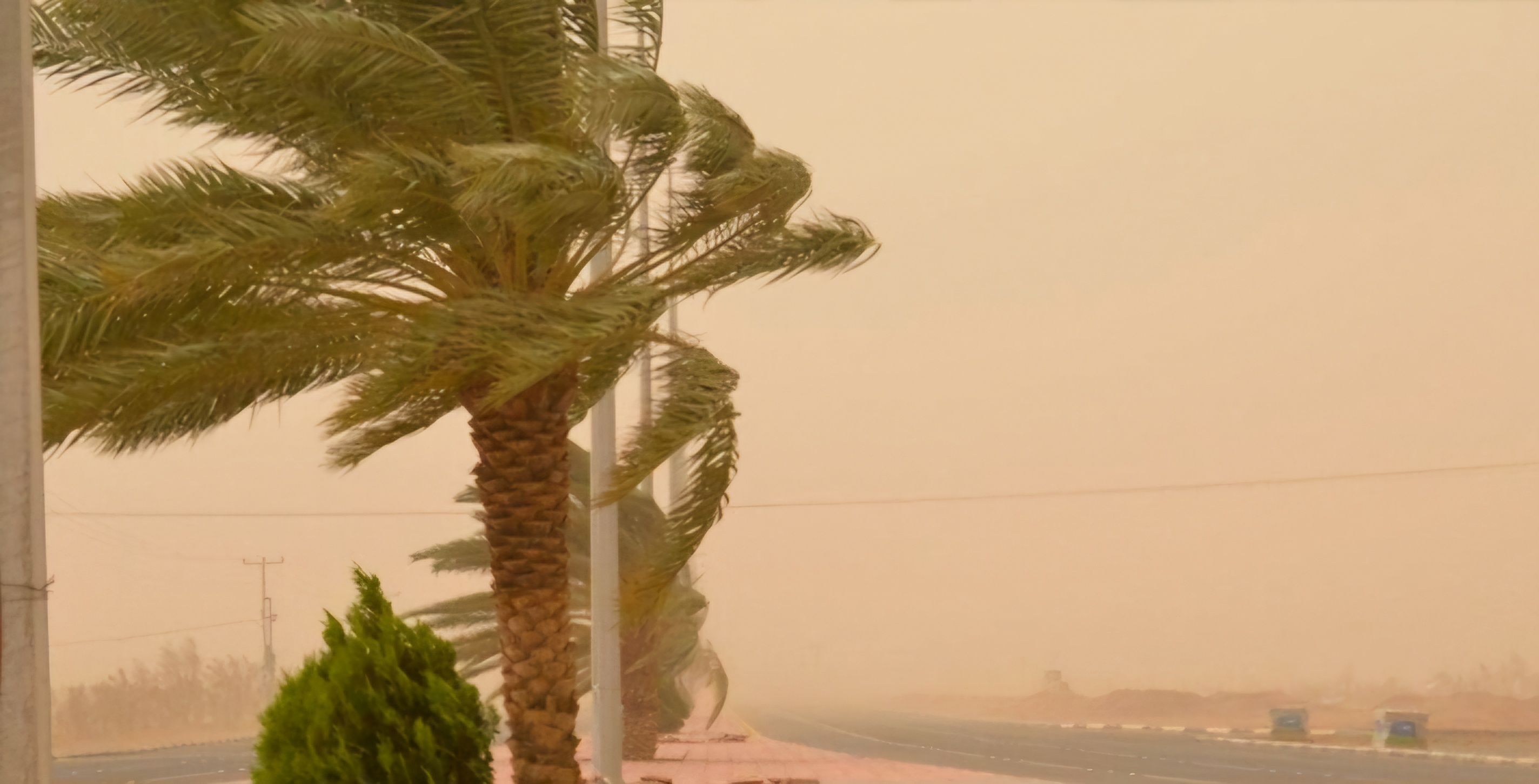 نشرة برتقالية تحذر من رياح قوية وغبار  بالمملكة يوم الإثنين المقبل