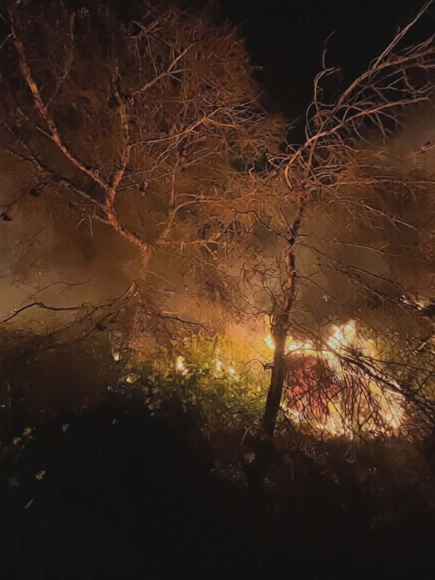 ألسنة اللهب تلتهم الغابات بالدريوش.. هل كانت “نزهة” وراء الحريق؟