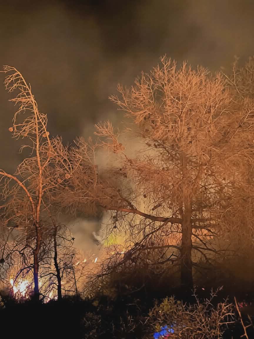 ألسنة اللهب تلتهم الغابات بالدريوش.. هل كانت “نزهة” وراء الحريق؟