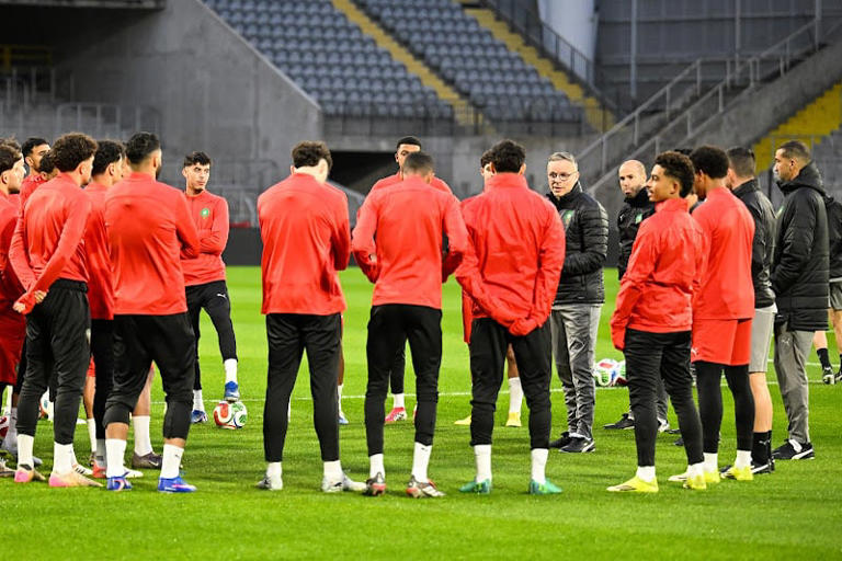 في قلب أمريكا.. الأسود يواجهون هذا الخصم قبل صدام البرازيل في المونديال