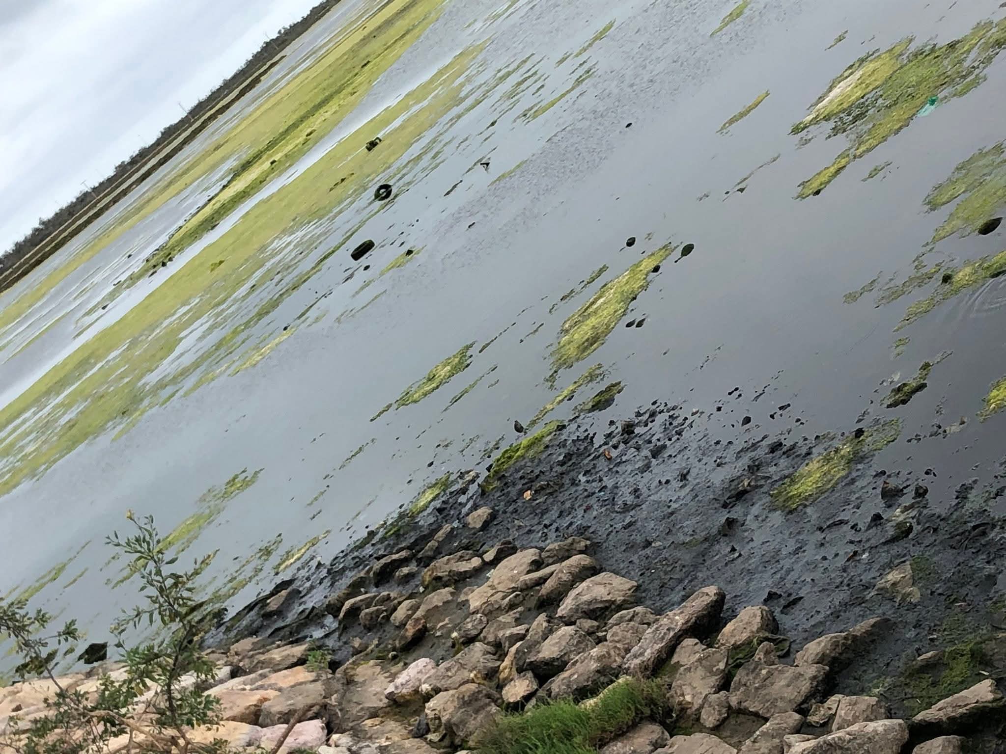 طحالب ونفايات ببحيرة مارتشيكا تقلق فعاليات مدنية والأنظار تتجه صوب وكالة التهيئة