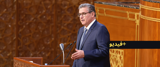 “هادشي لي بغا المواطن”.. أخنوش يحذر "الكسابة" من انخفاض أسعار الأضاحي بسبب تأخرهم في ولوج الأسواق