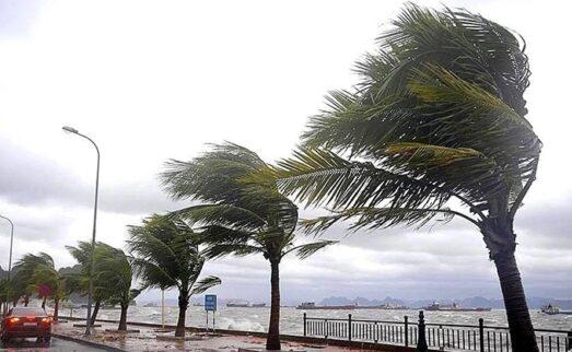 نشرة إنذارية.. رياح قوية وأمطار رعدية تشمل الناظور والدريوش