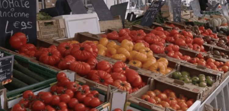 المغرب ضمن أسباب ارتفاع قياسي لأسعار الطماطم في أوروبا