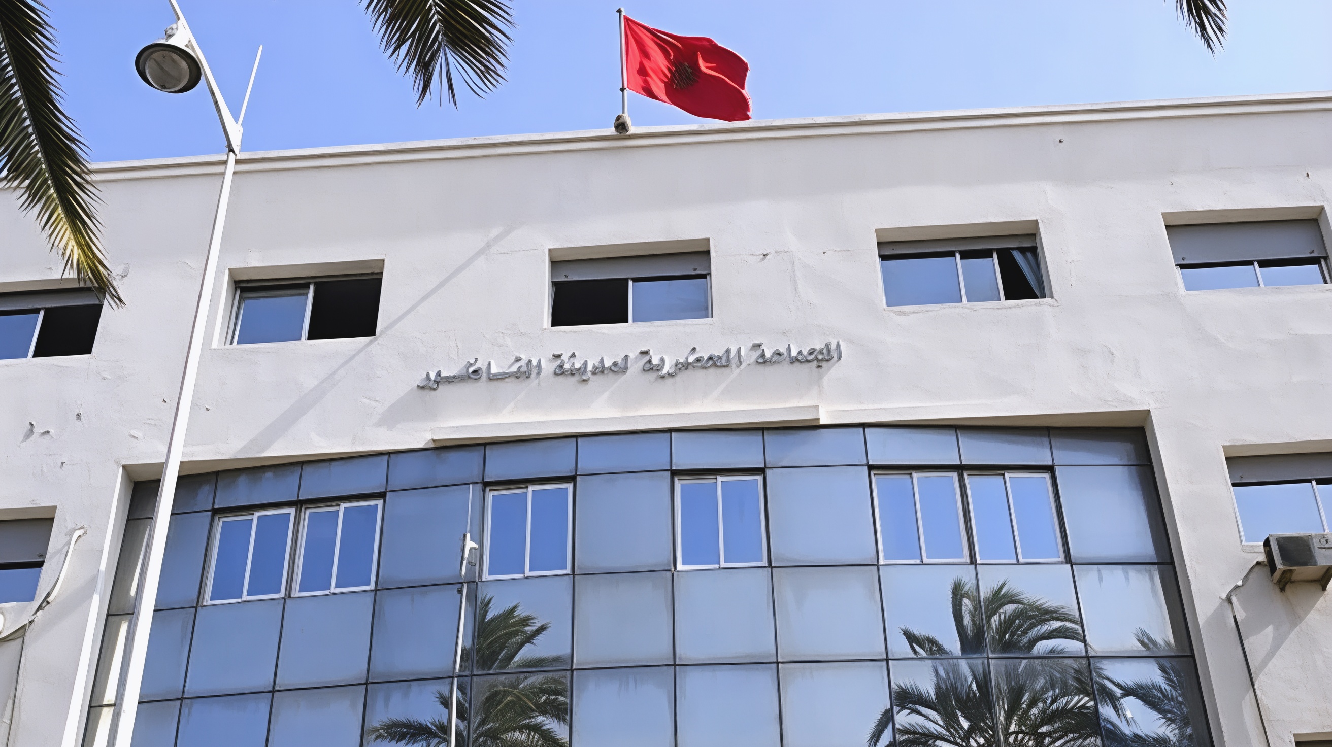 ساكنة الناظور تواجه غزو البعوض وتطالب الجماعة بالتحرك العاجل