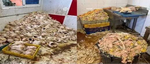 طنجة.. لجنة مختلطة تحجز أطنانا من الدجاج الفاسد في حملة ميدانية