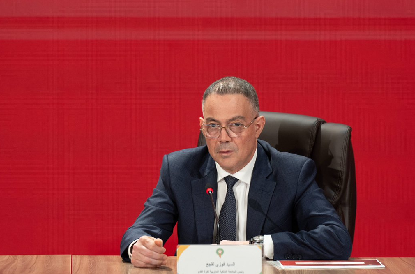 "البام" يحسم ترشيح لقجع في الانتخابات المقبلة بنسبة تقارب 100%
